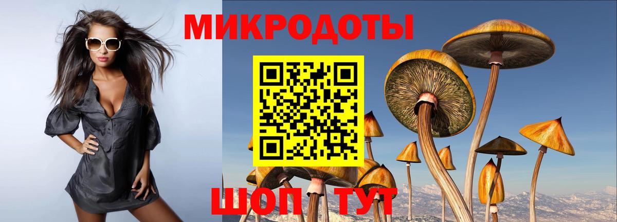 Галлюциногенные грибы Psilocybe Березники